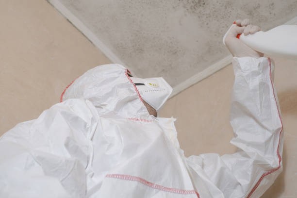 Best Local Mold Removal Service  in Turley, OK