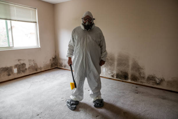 Best Mold Remediation  in Turley, OK